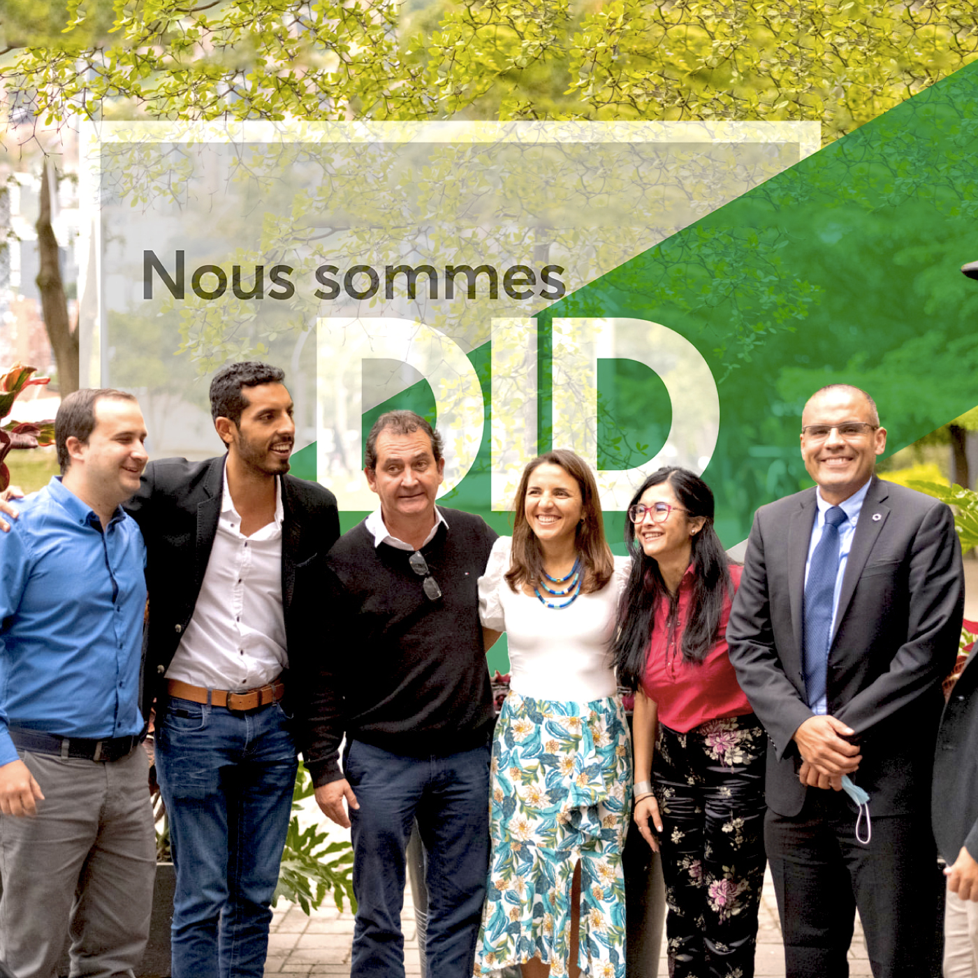 Nous sommes DID podcast artwork